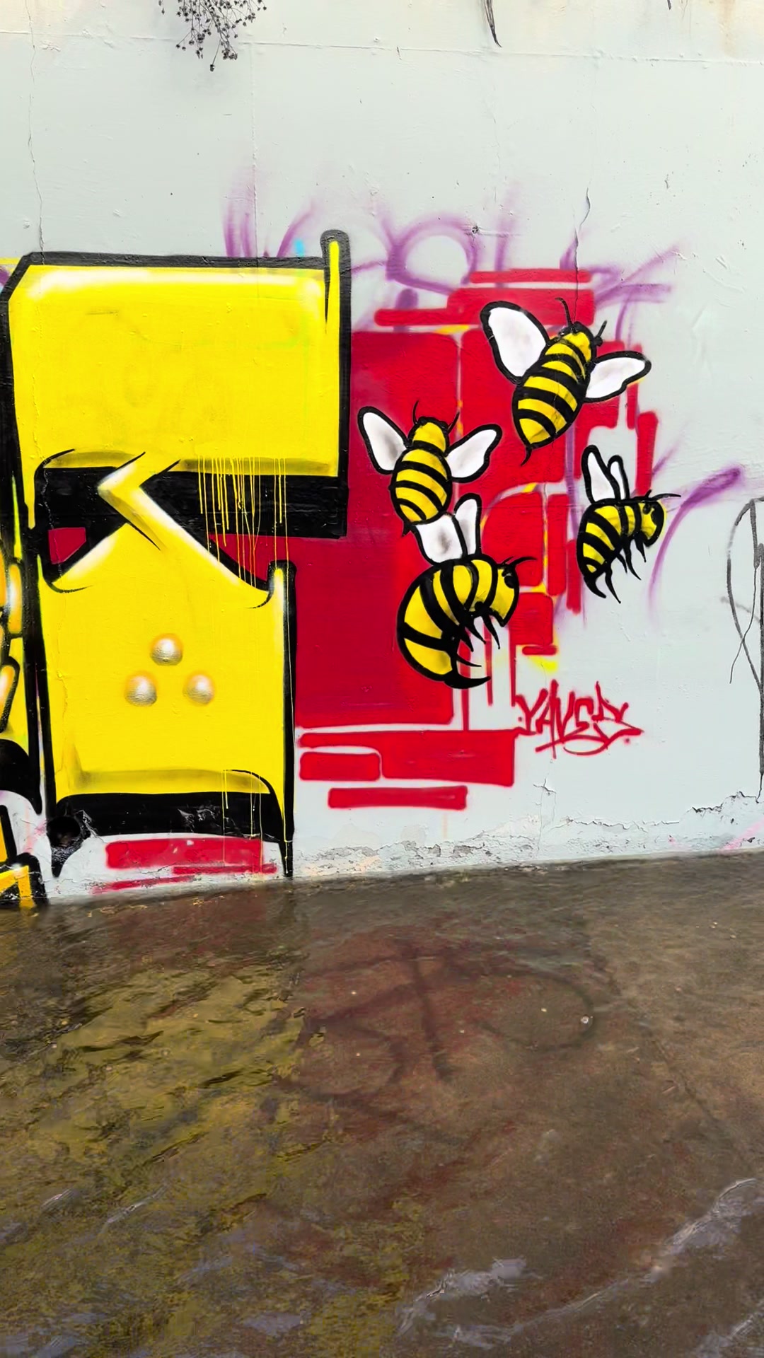 @Nsd.graffiti