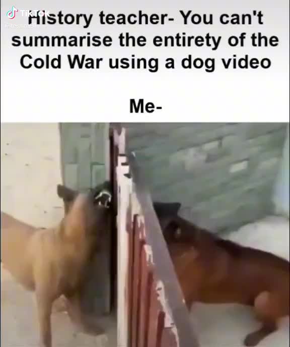 @user5526822922251