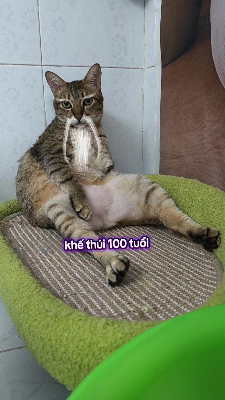 @Khế th&uacute;i