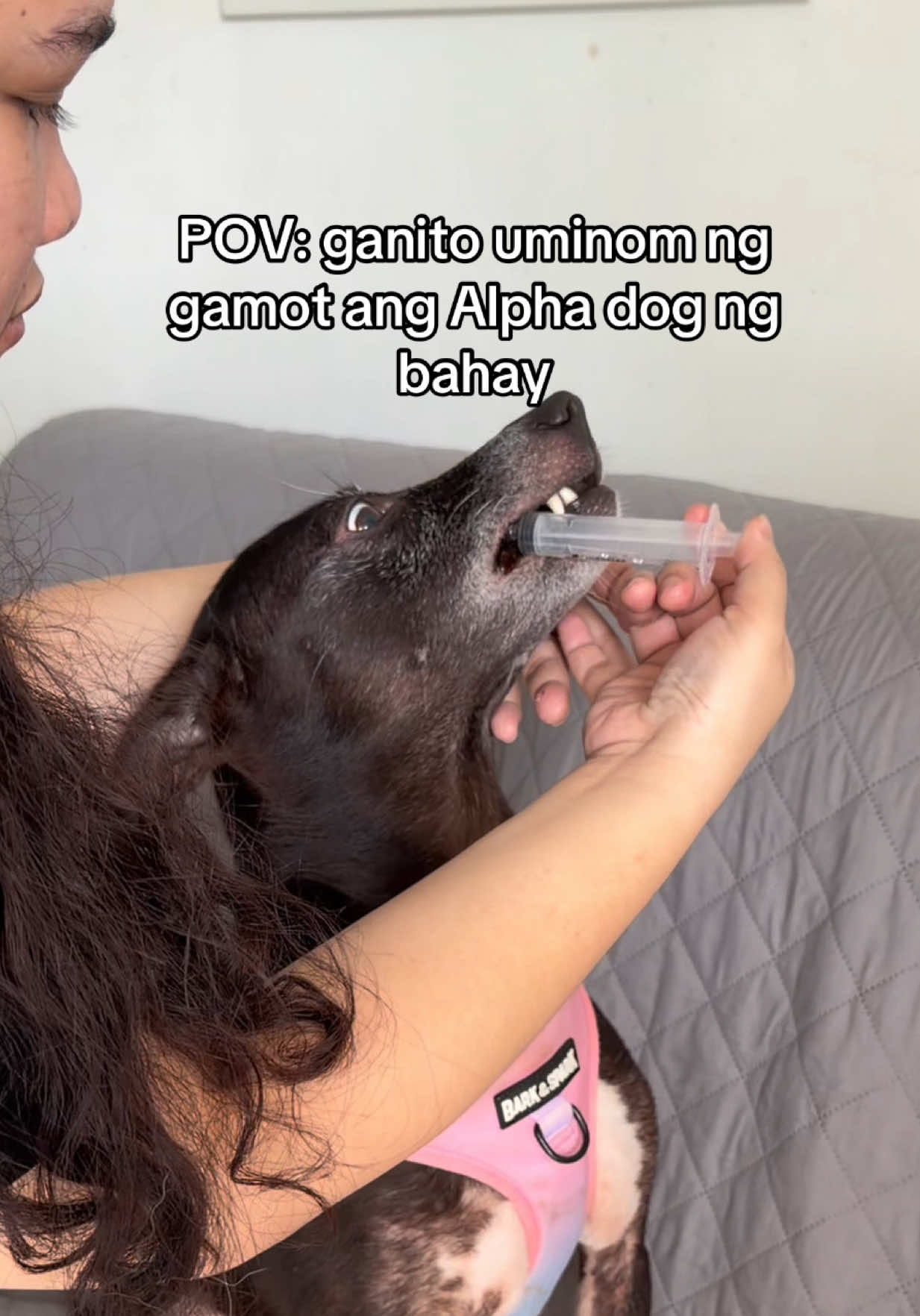 @cammydudels