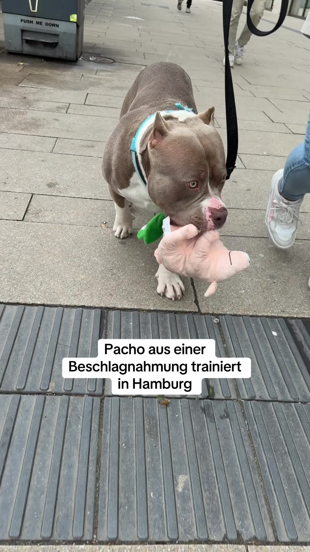 @XXLBALU
