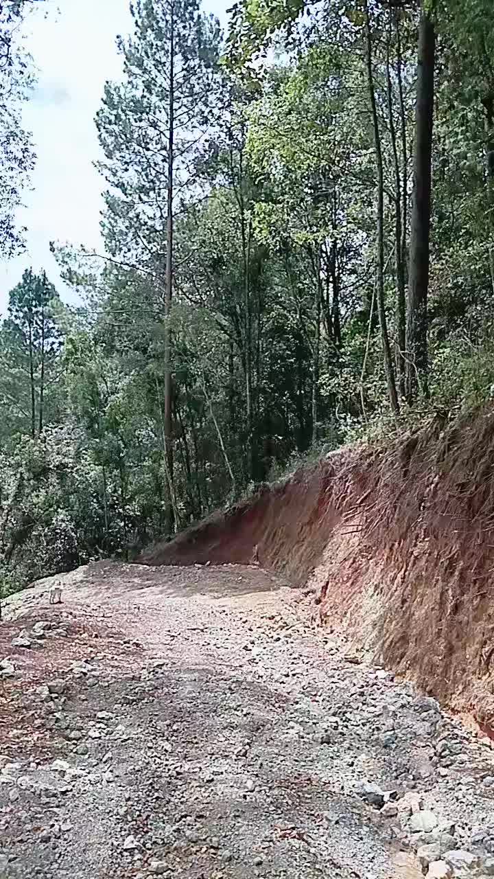 @JUANA GUZMÁN