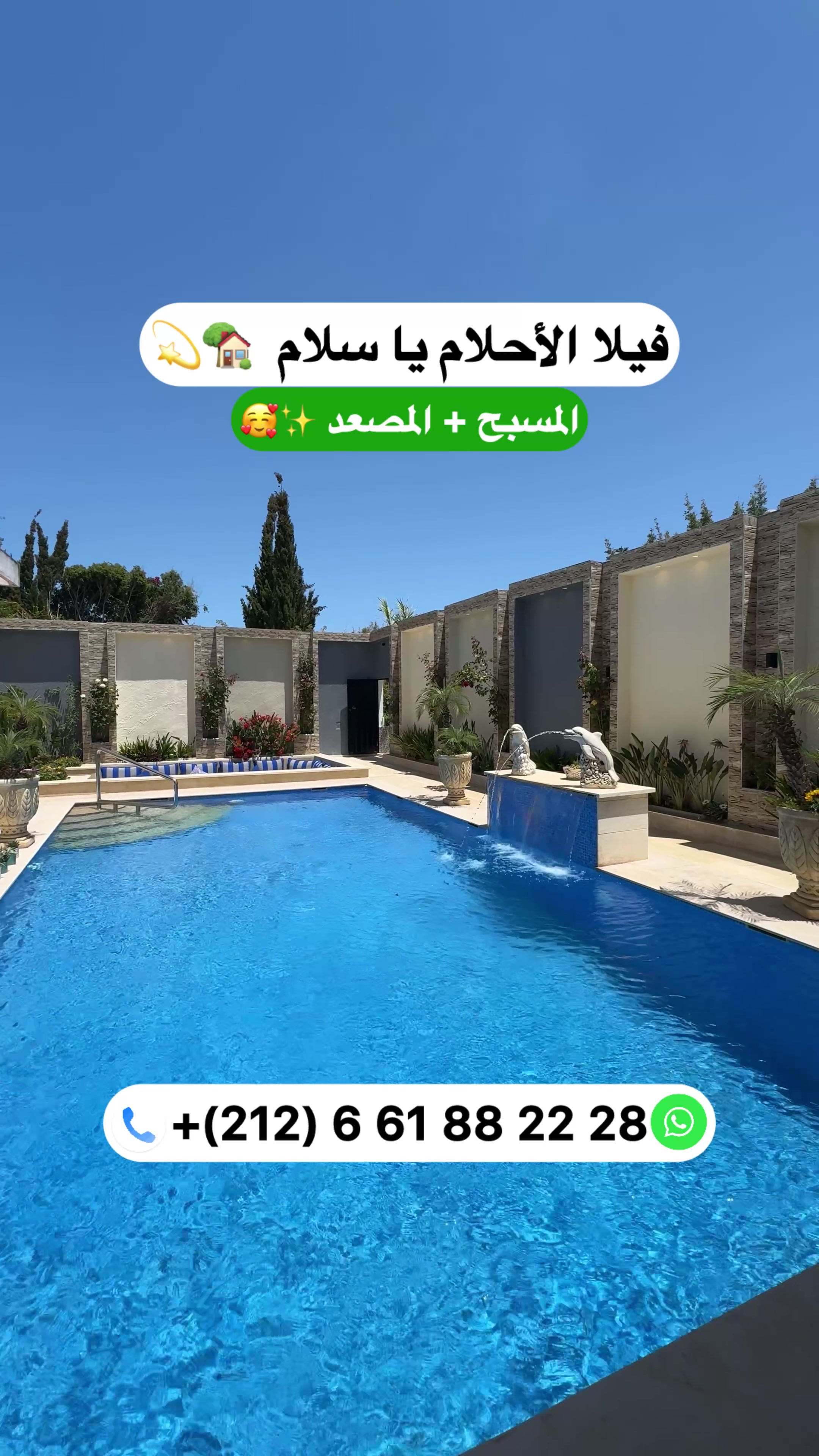 @Zakaria Haddad 🇲🇦🇵🇸