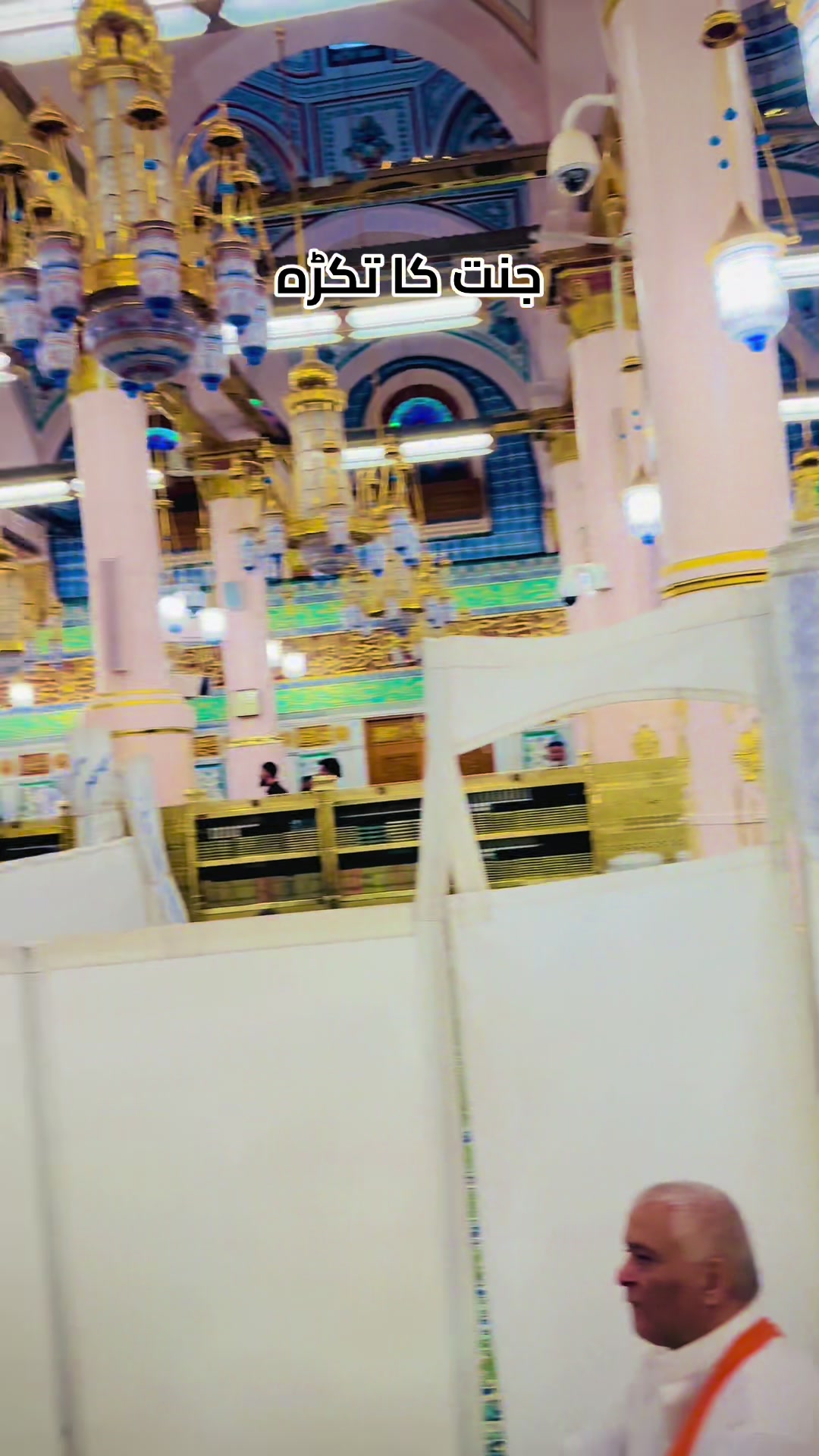 @𝙎𝙖𝙛𝙊𝙤🕊️