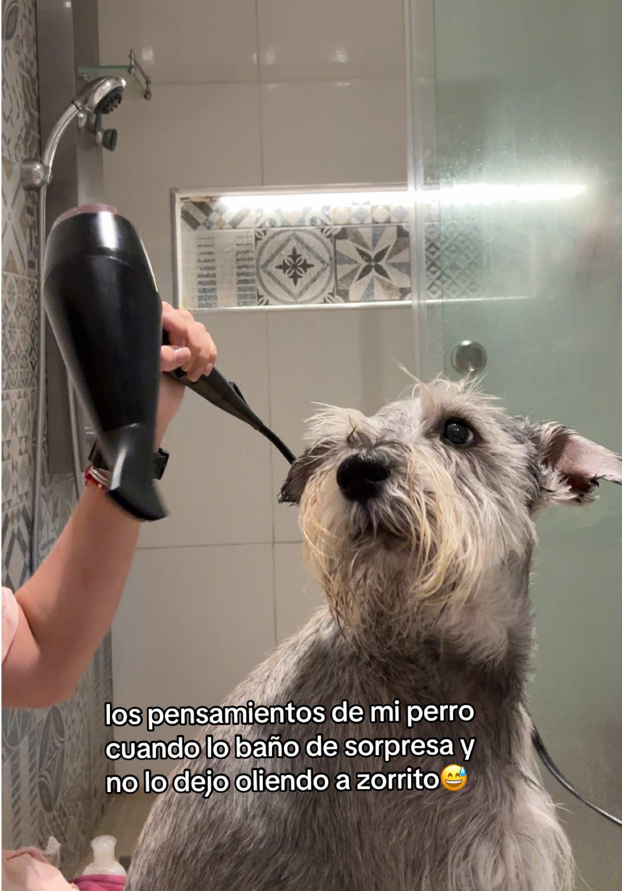 @vidadlanky