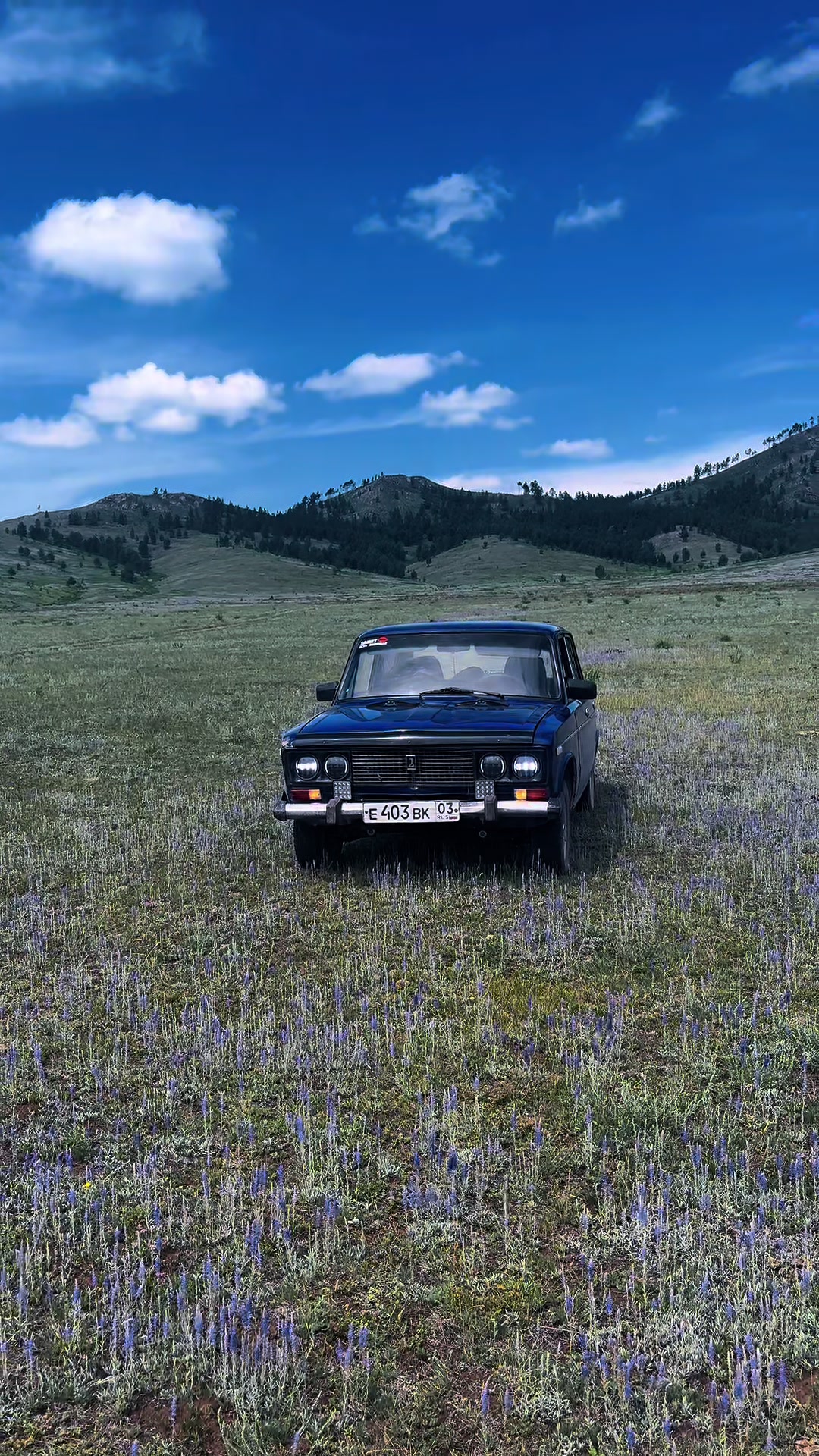 @Александр Алемасов🥷