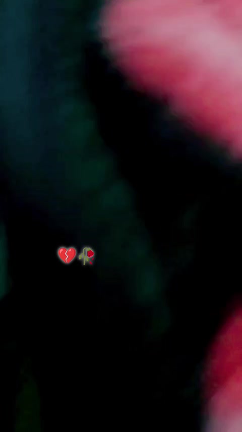 @⭐⃟𝄞  &Atilde;m&Icirc;r ⁷⁸⁶ 🎭