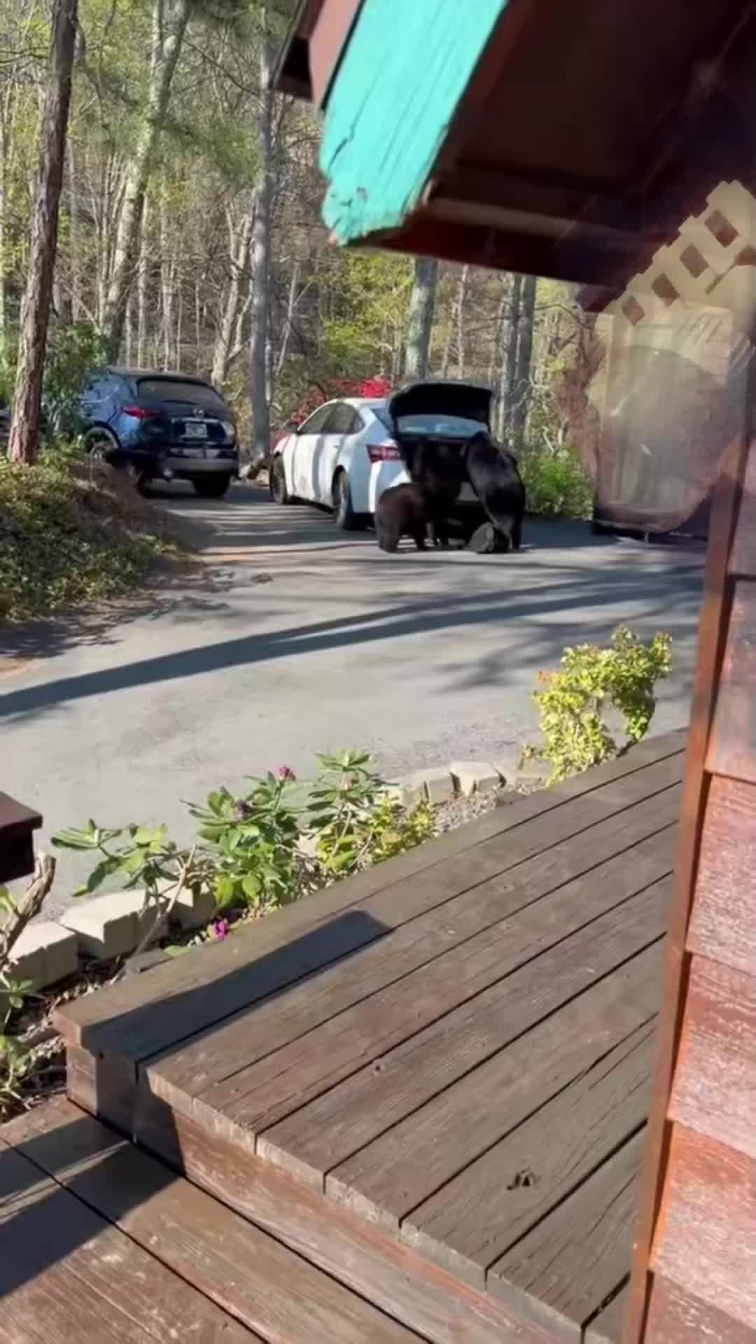 @Lg