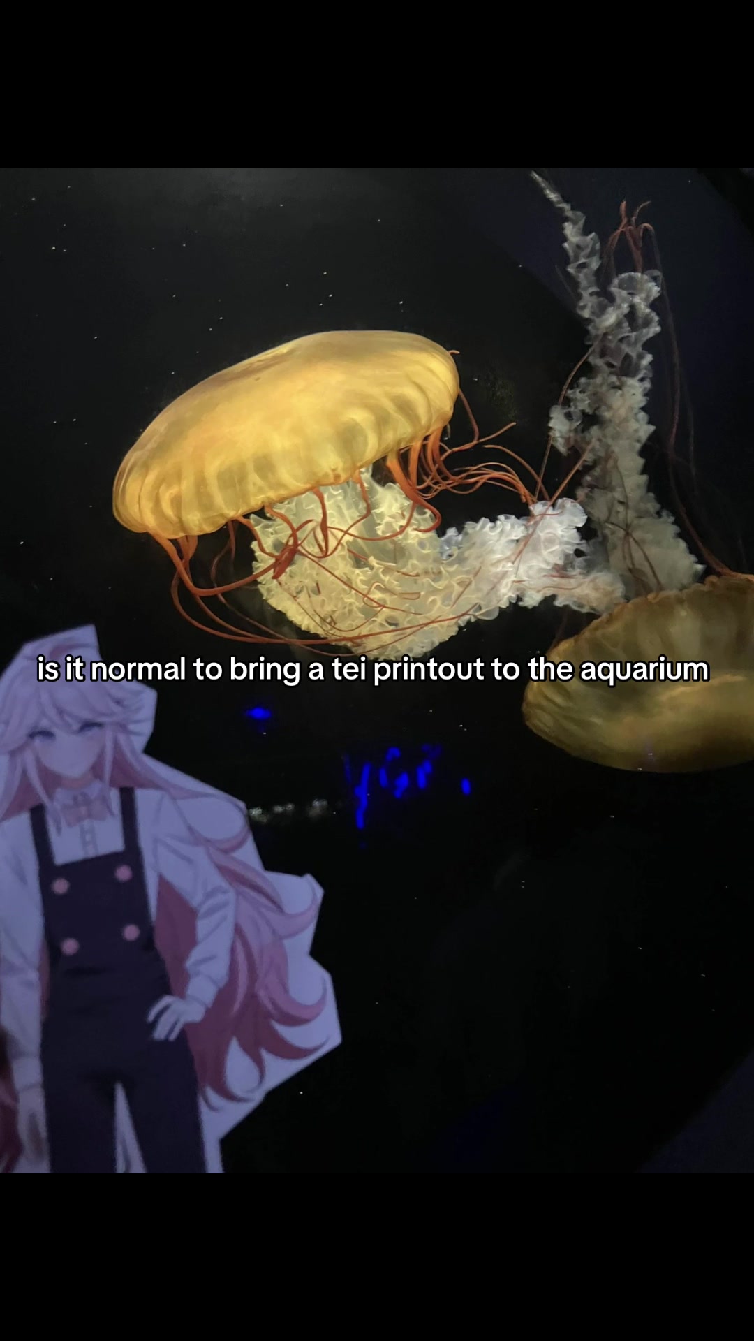 @mud slug zae