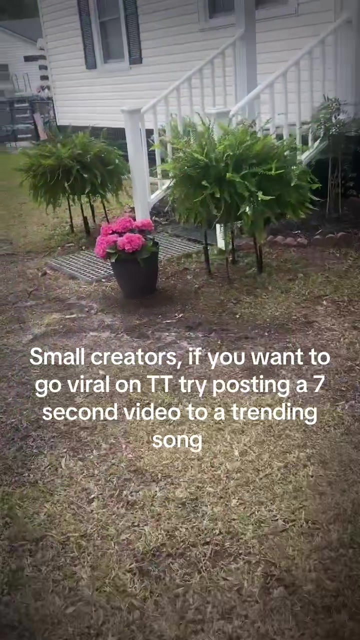 @chantal.elizabeth1