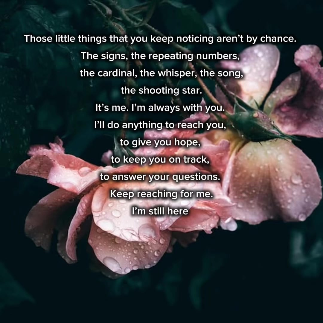 @Jasmin | A Rooted Life