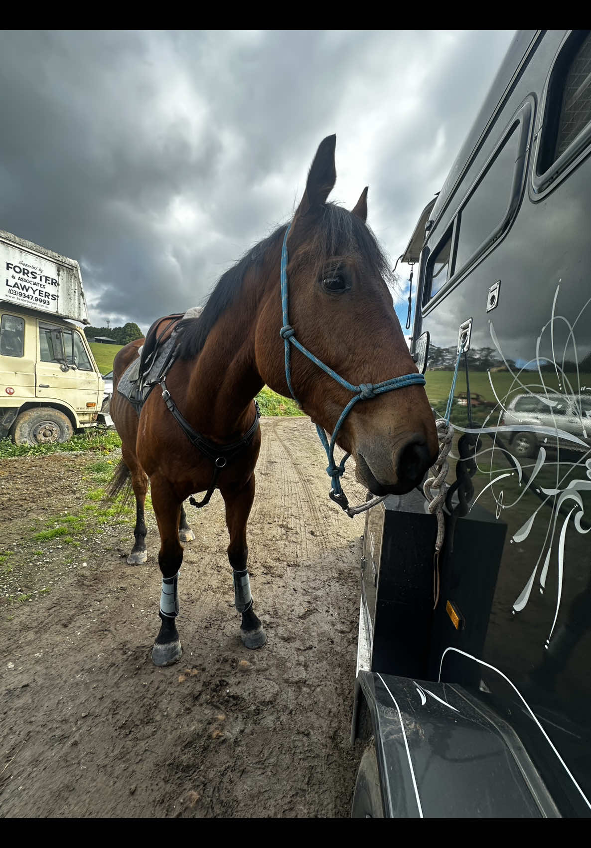 @Imi_.equestrian