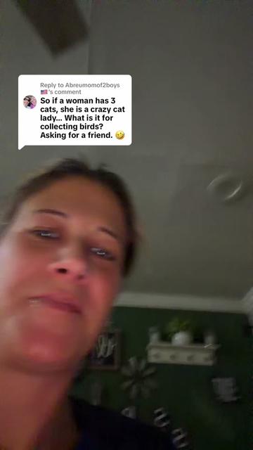 @SaraShaleen