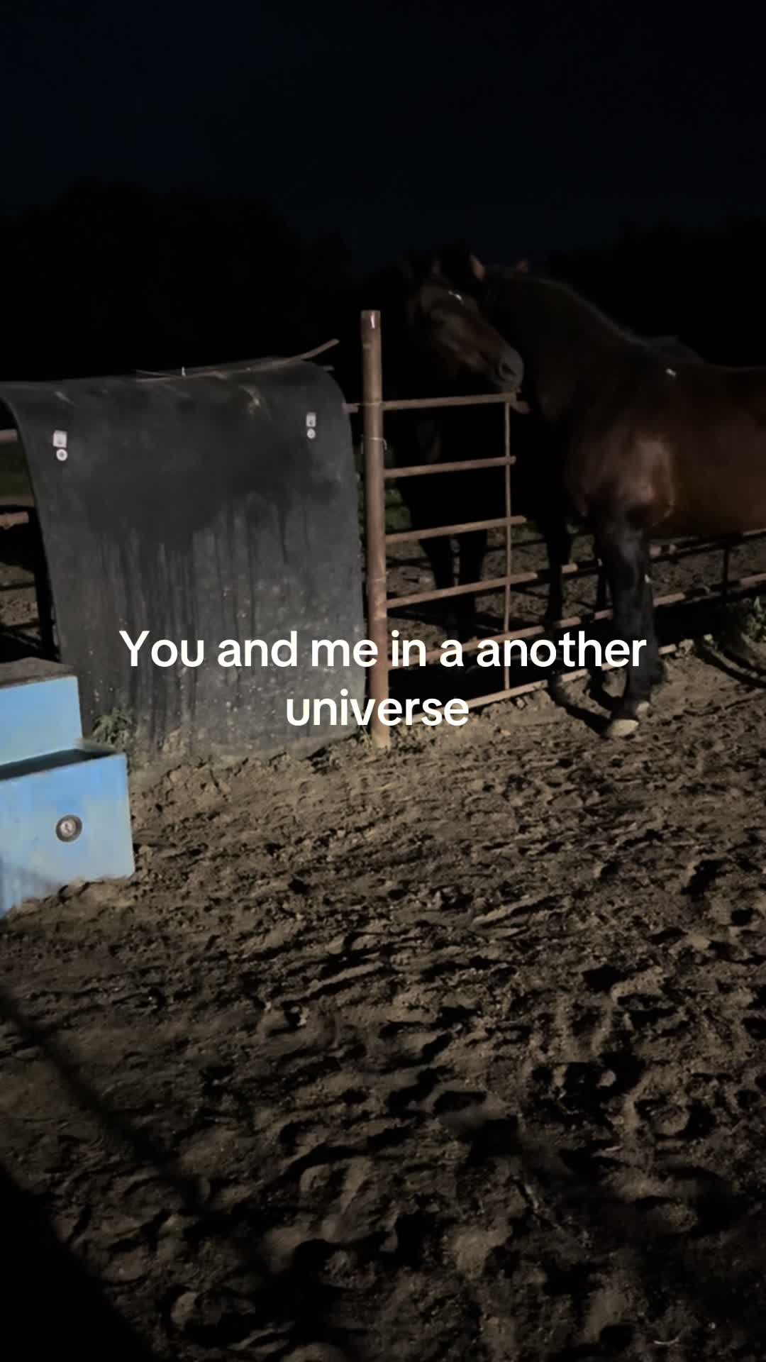 @Living Lucky Quarter Horses