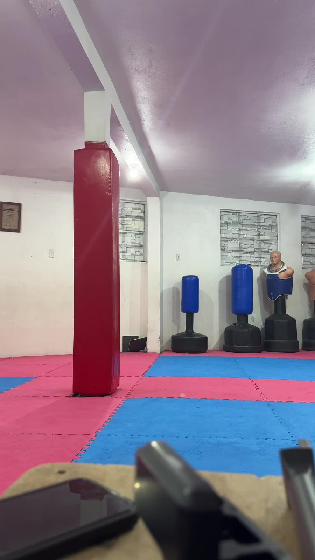 @taekwondolionsteam