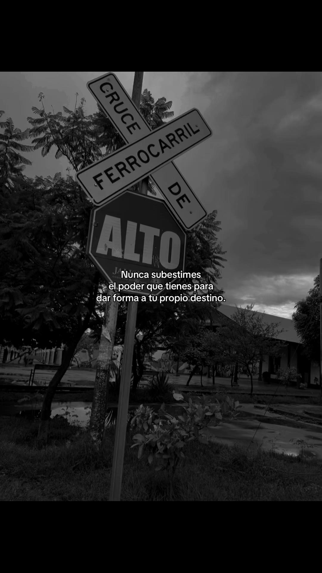 @Nato Nael 🐻🧃