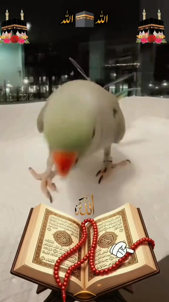 @Madina Omr🎧📿