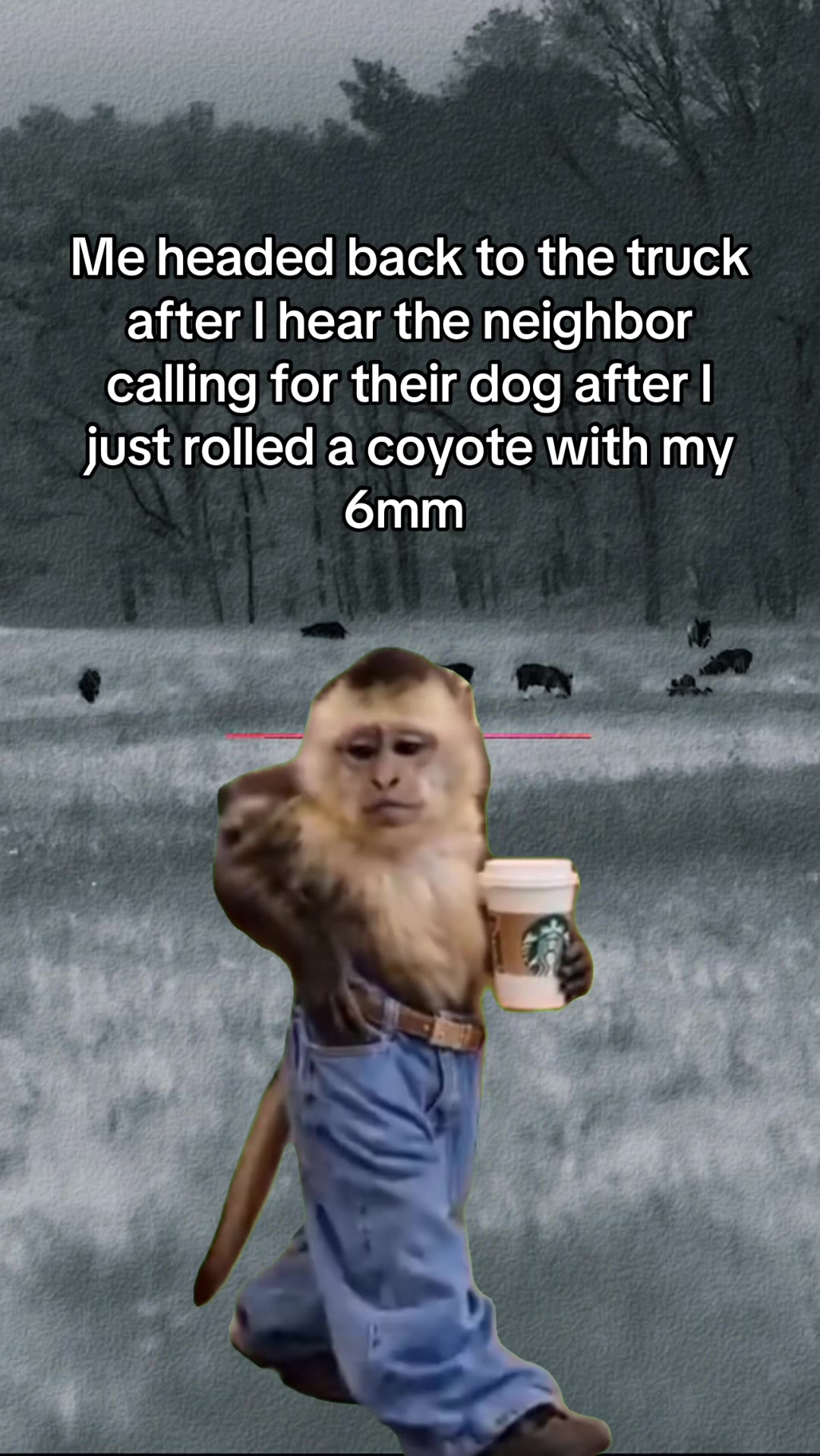@TPHH
