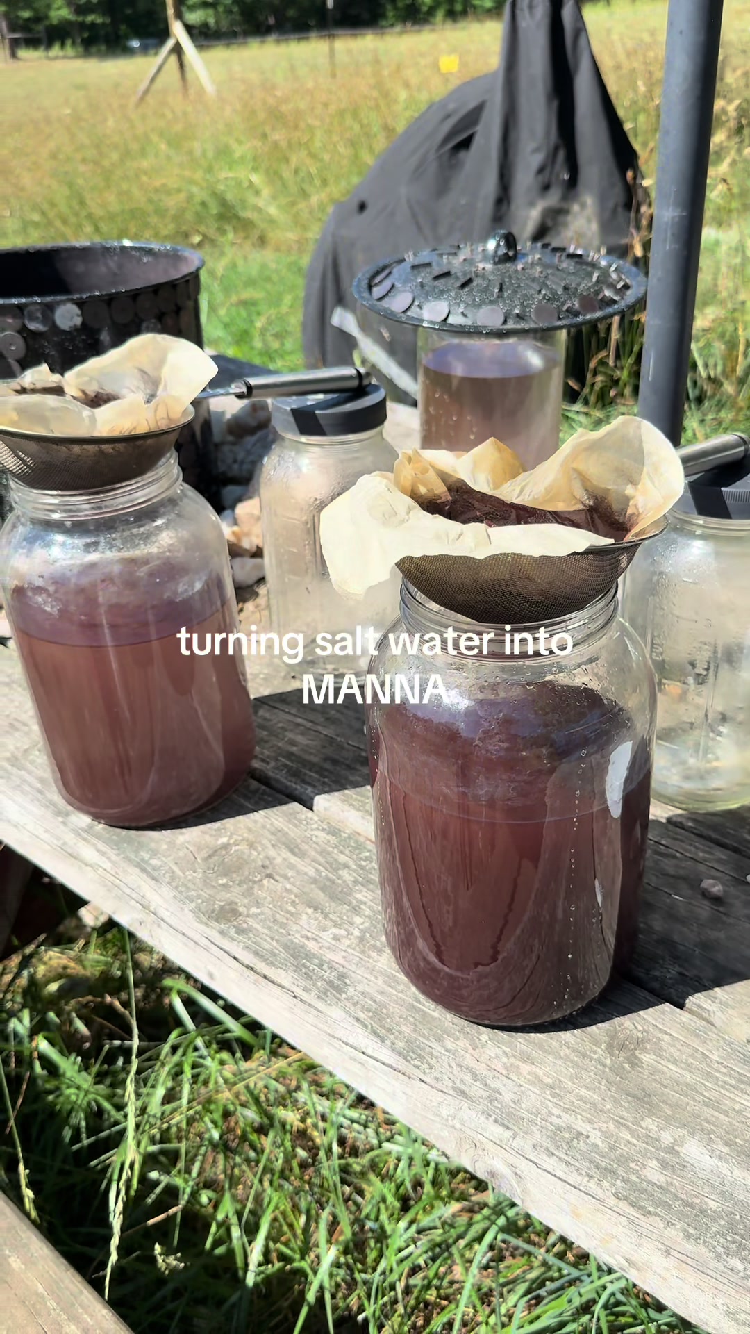 @everlivingwater
