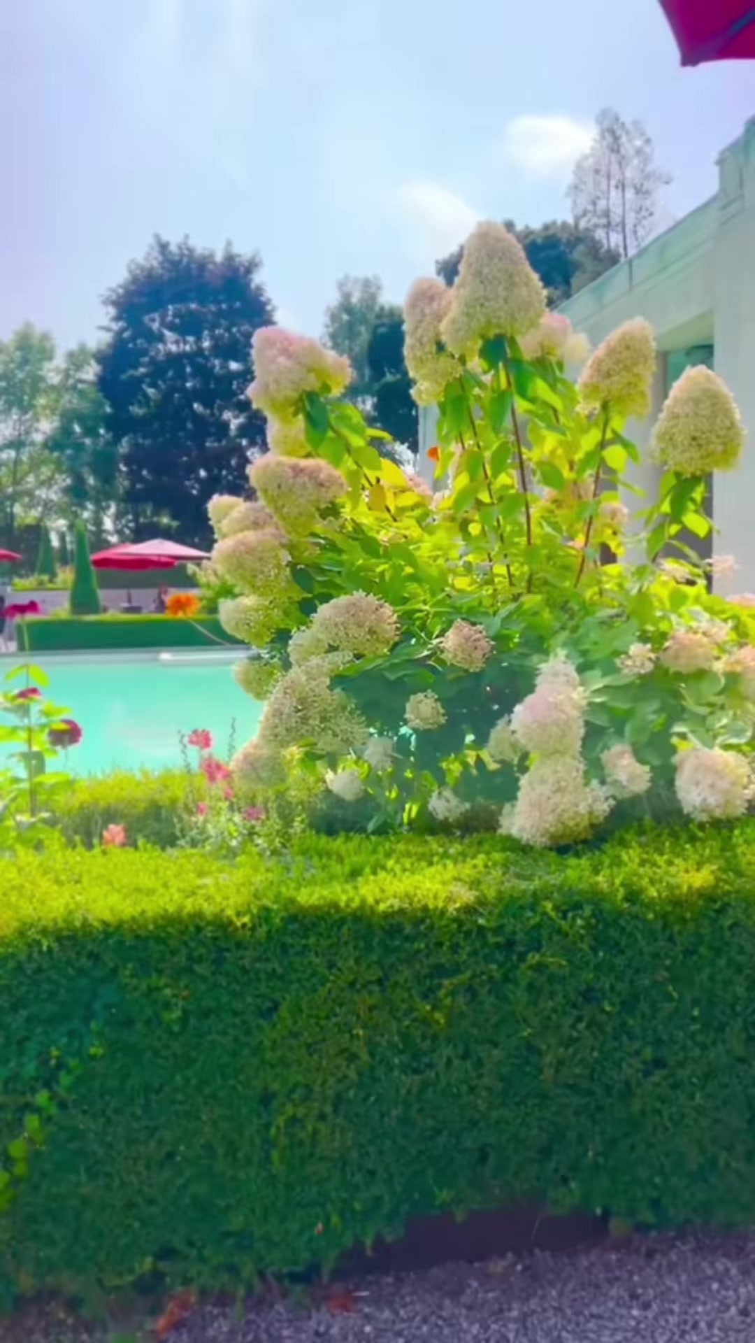 @CHAUDHARY🇨🇦🇵🇰