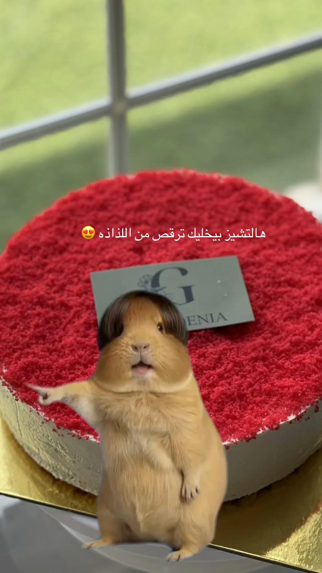 @غاردينيا الجبيل 🦋🧚