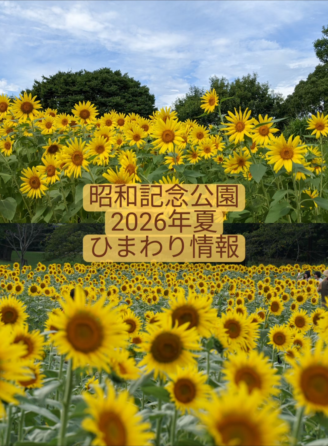 @とも 思い出カメラマン