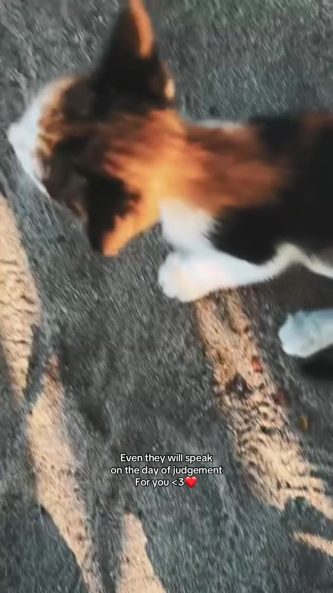 @𝐋𝐢𝐥𝐨