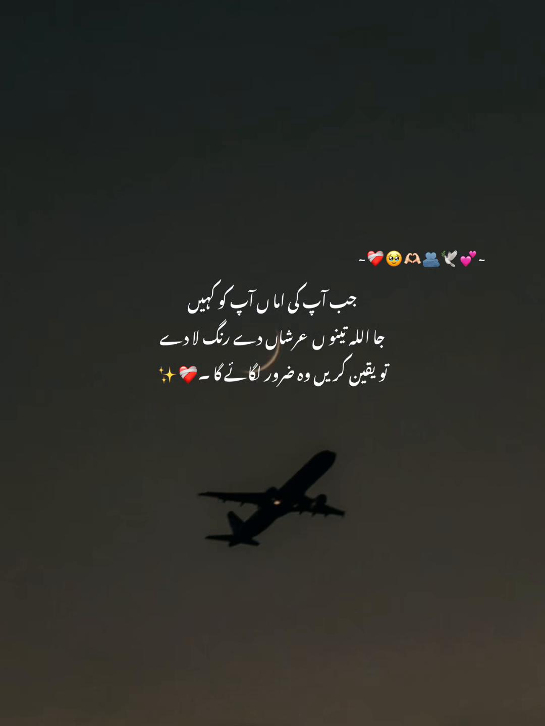 @صاحِبہ 🖤