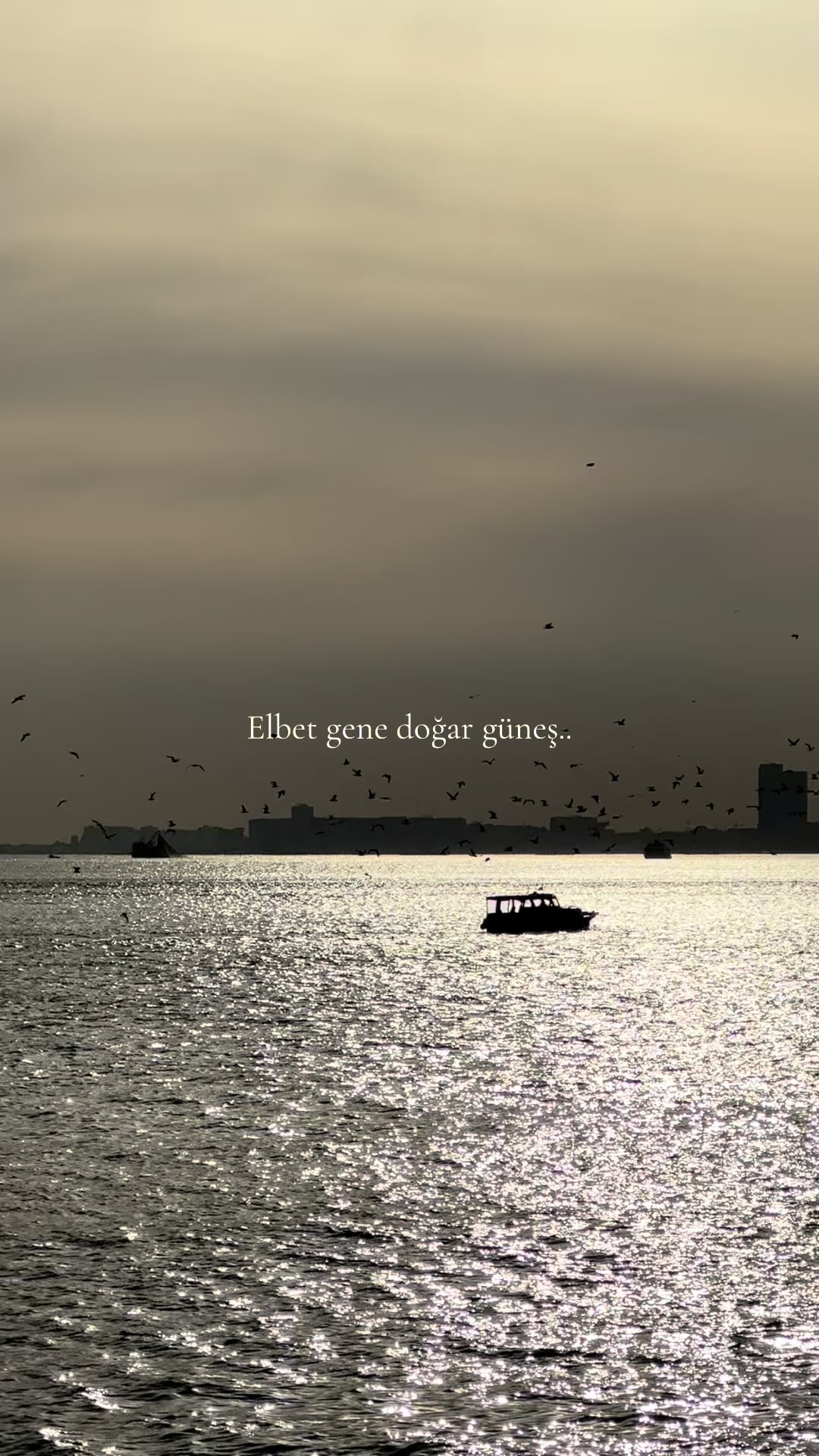 @𝐿𝑜𝑜𝓀 𝒜𝓉 𝒯𝒽𝑒 𝒮𝓀𝓎