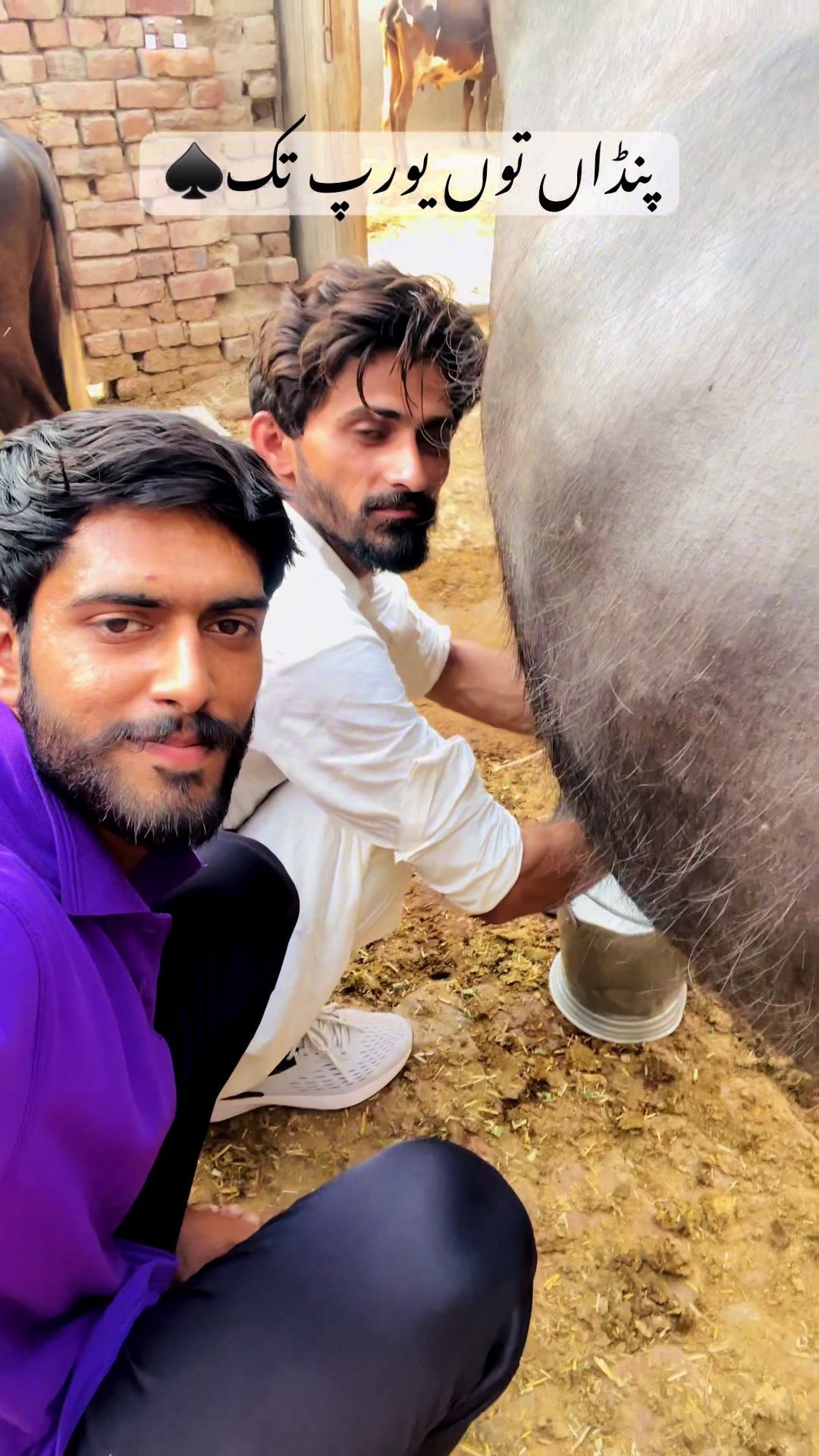 @Taimoor Bhatti🇩🇪