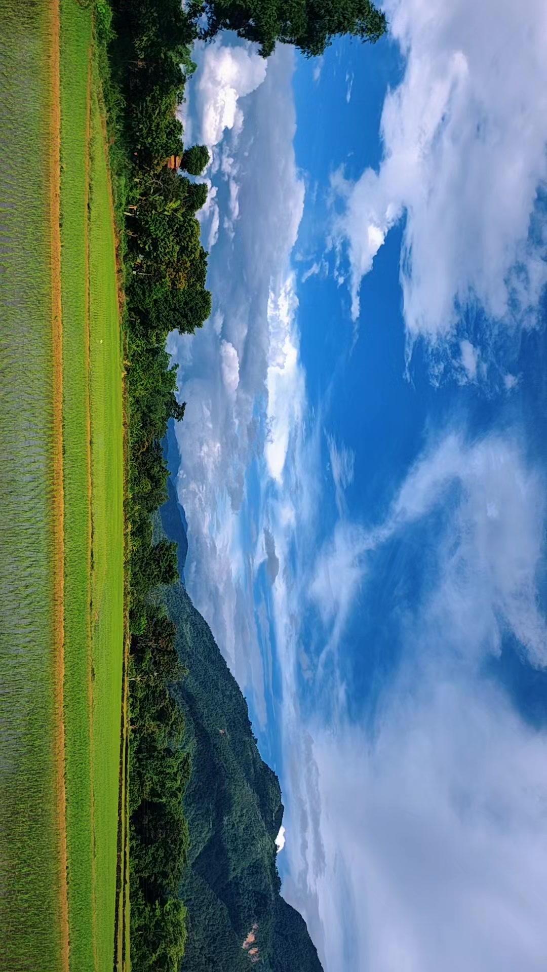 @imprabiney