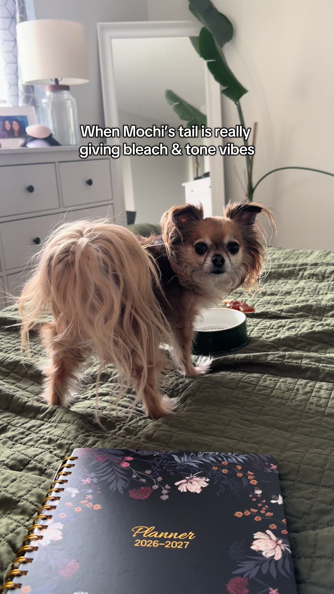 @mochi.and.ali