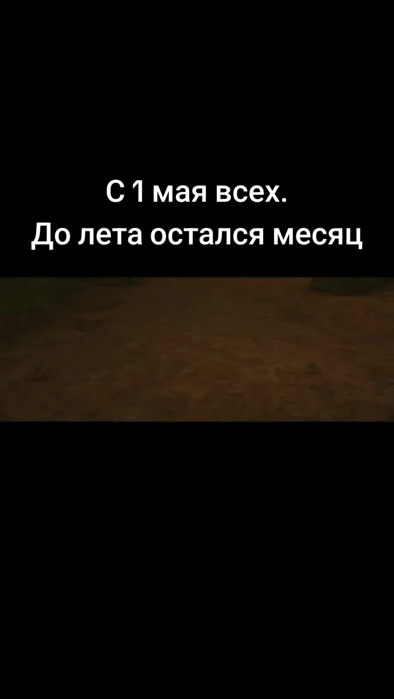 @Animat33221