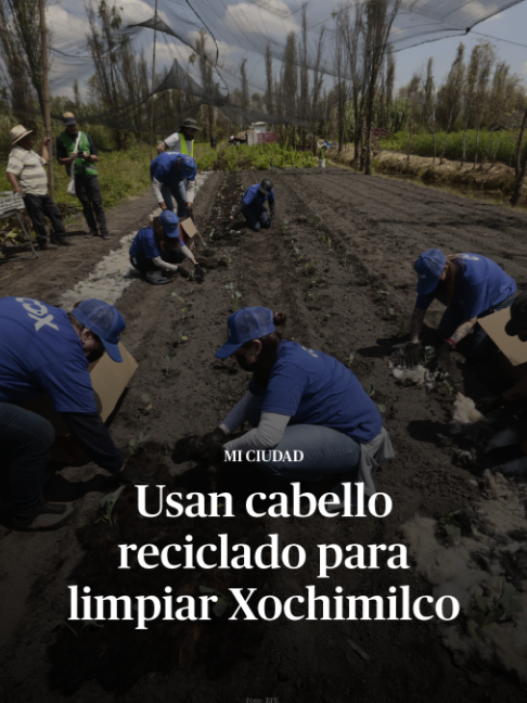 @DiariodeM&eacute;xico