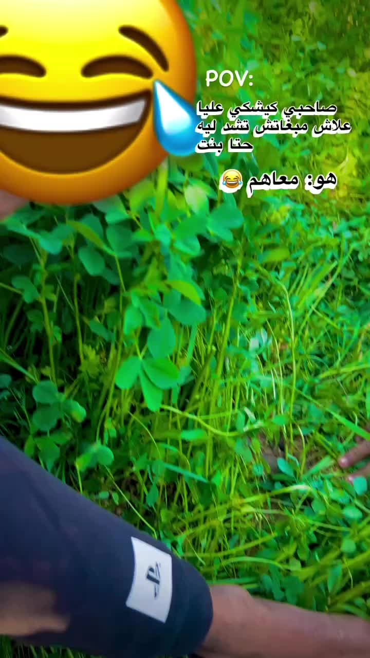 @Amine.20201