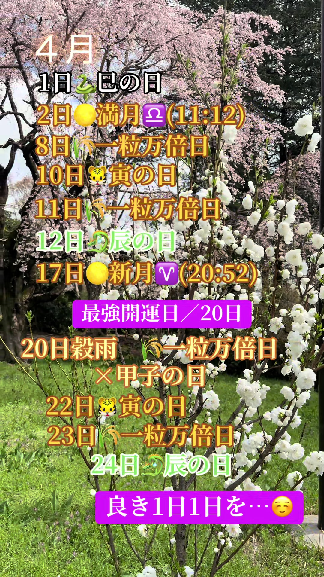 @honey💖8