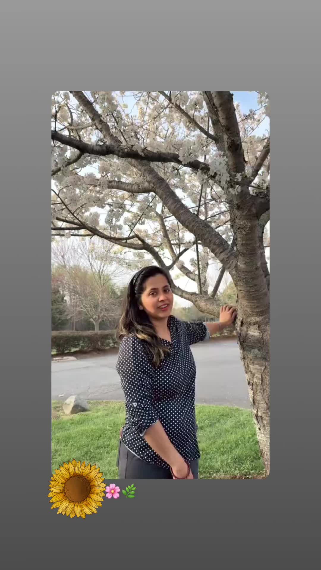 @Srijana🌸🌸