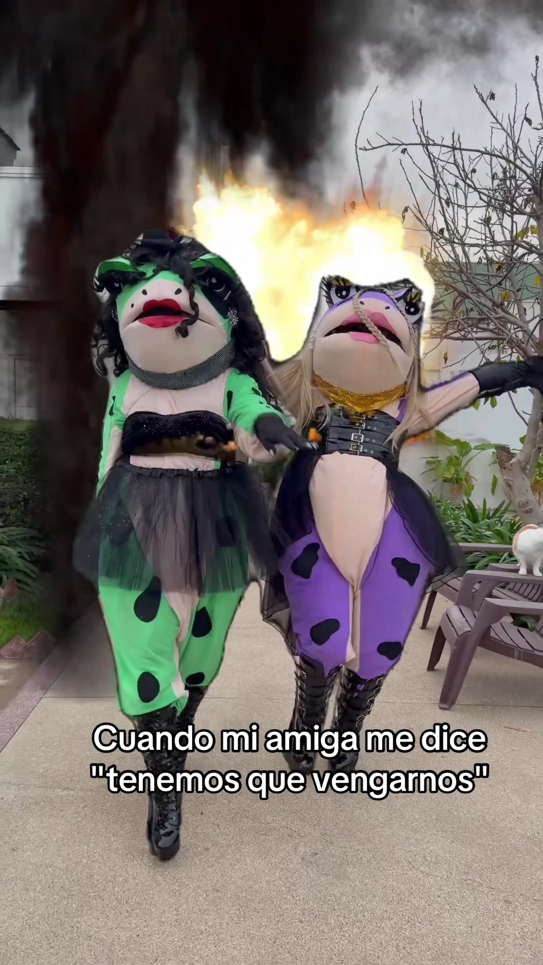 @Las Anfidivas