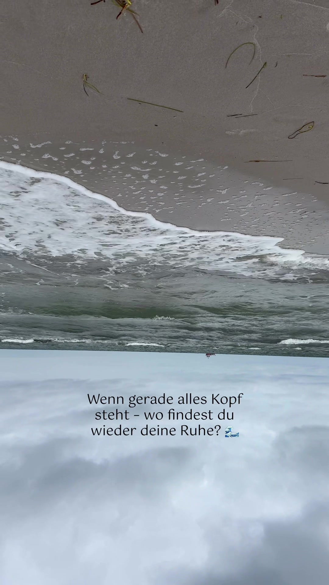 @maike.laube