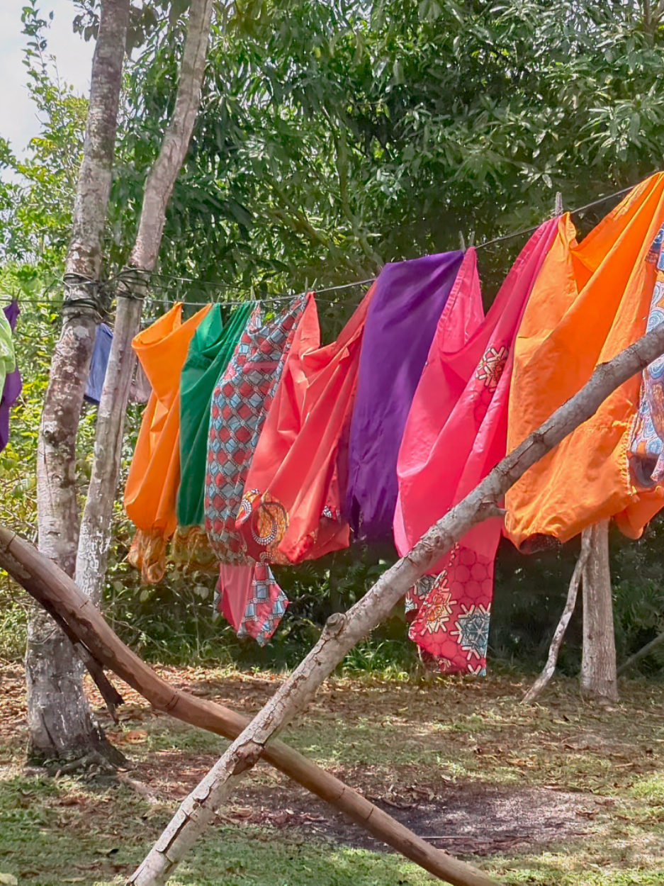 @Palmento Grove Belize