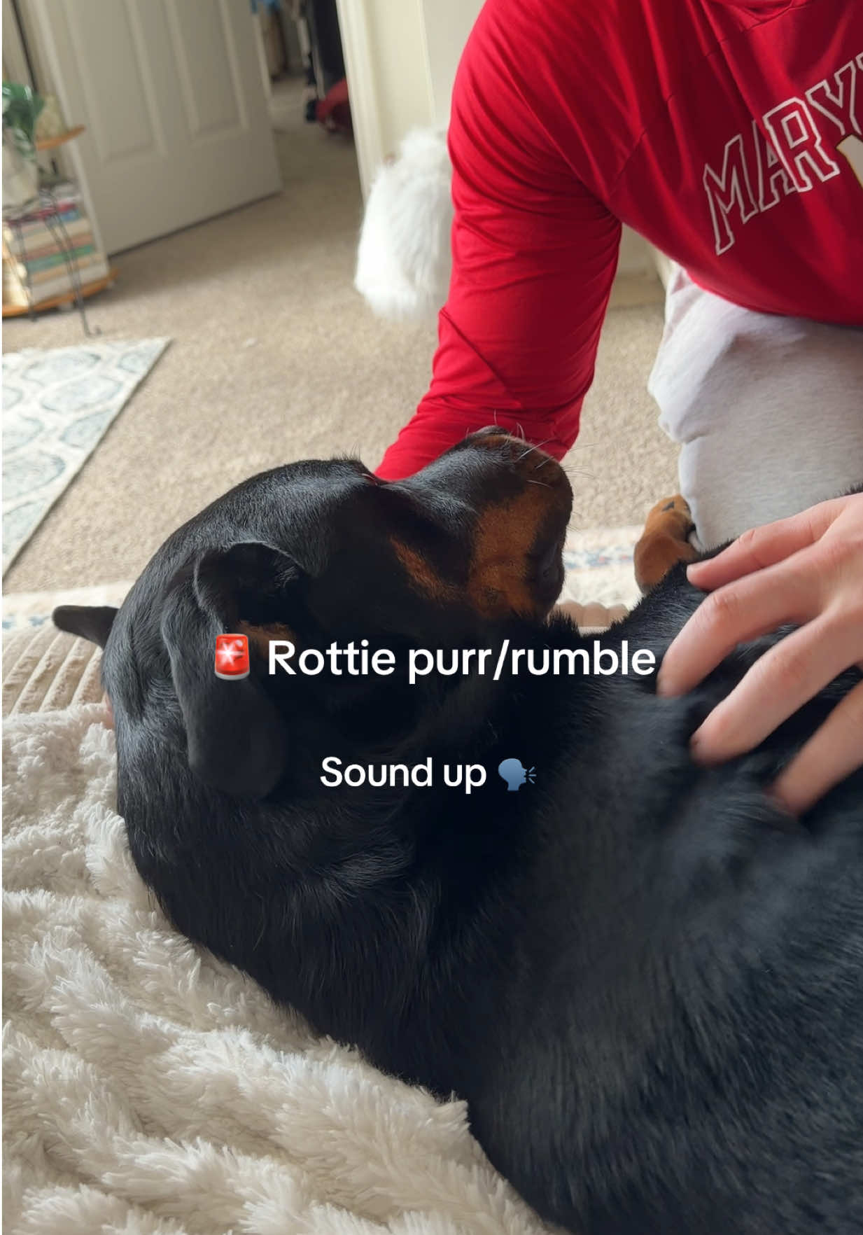 @Mia the Rottie