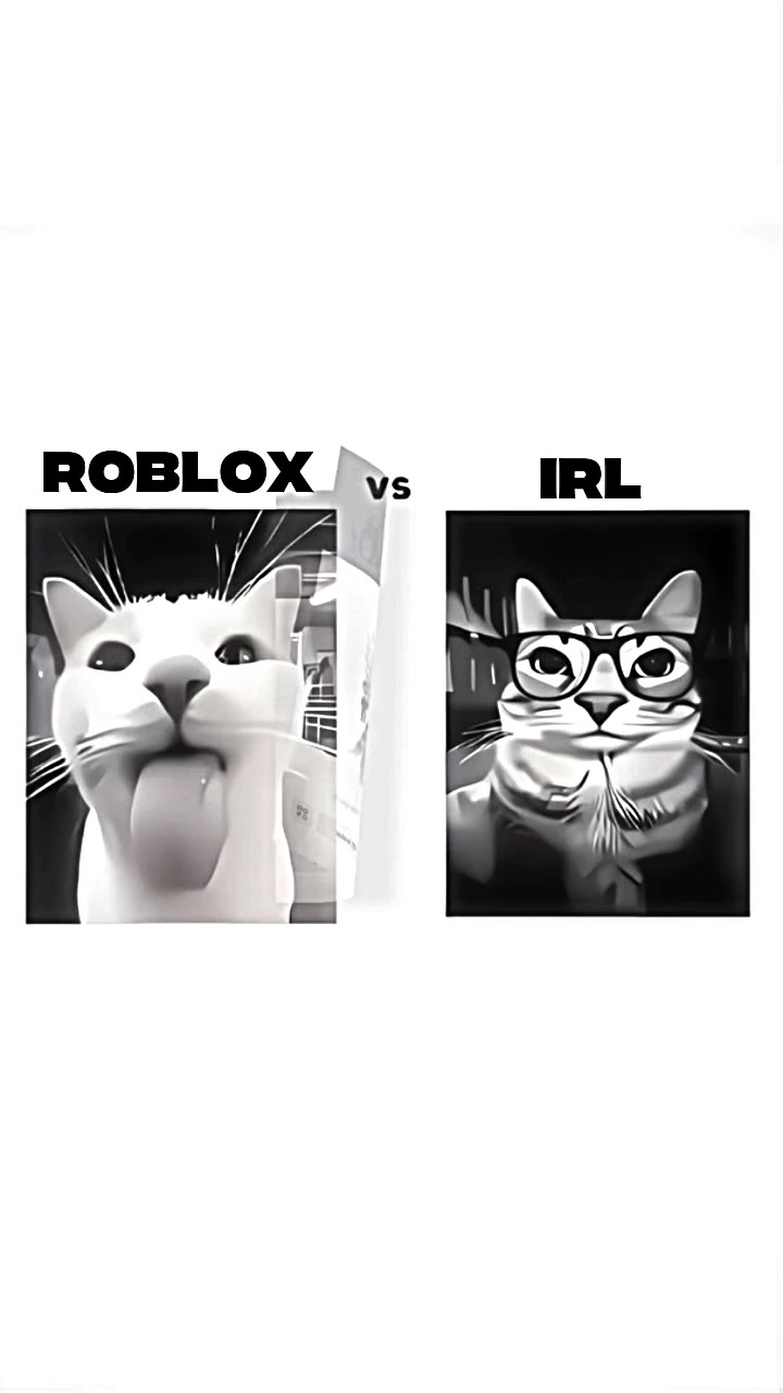 @luvv.raa?