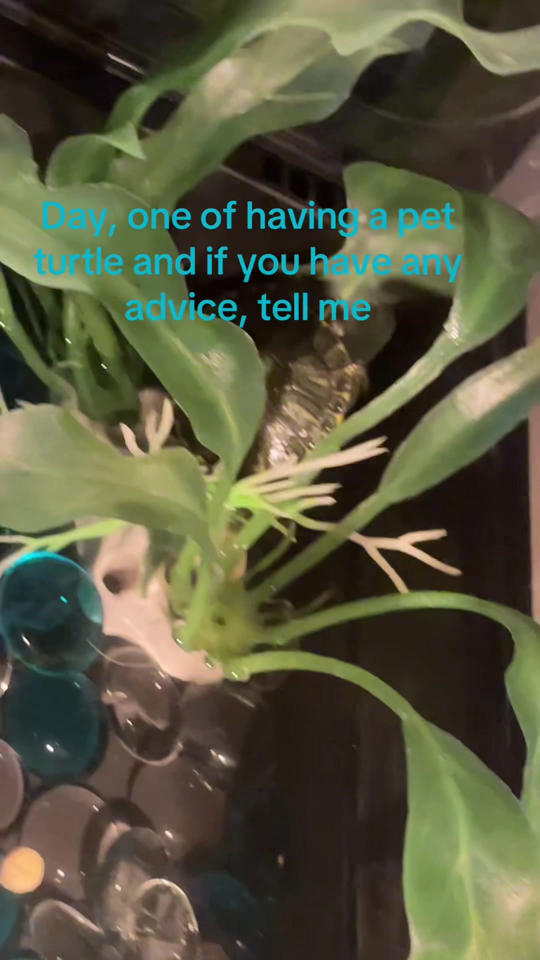 @Jaxs_Bubby_1031