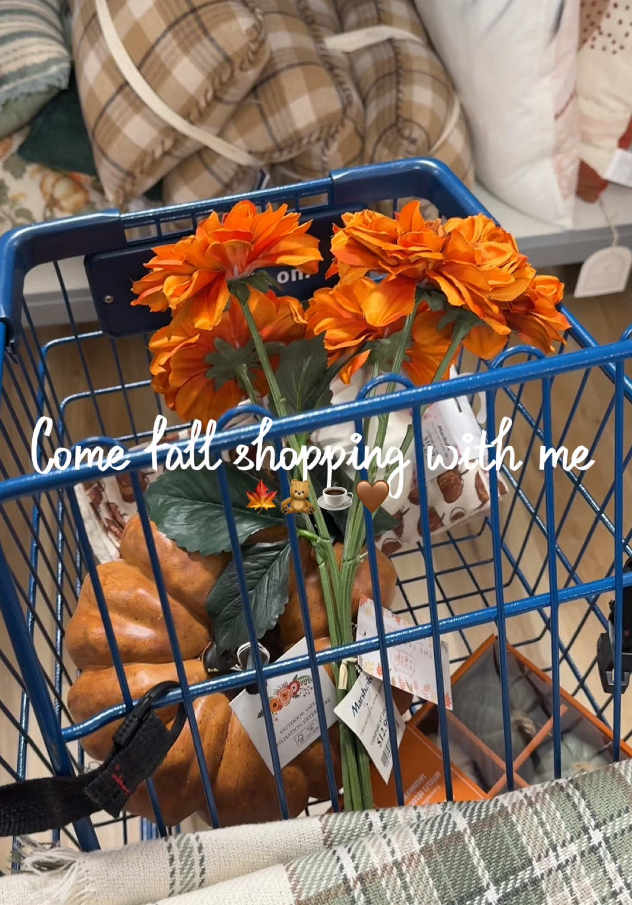 @Nic0leslifee