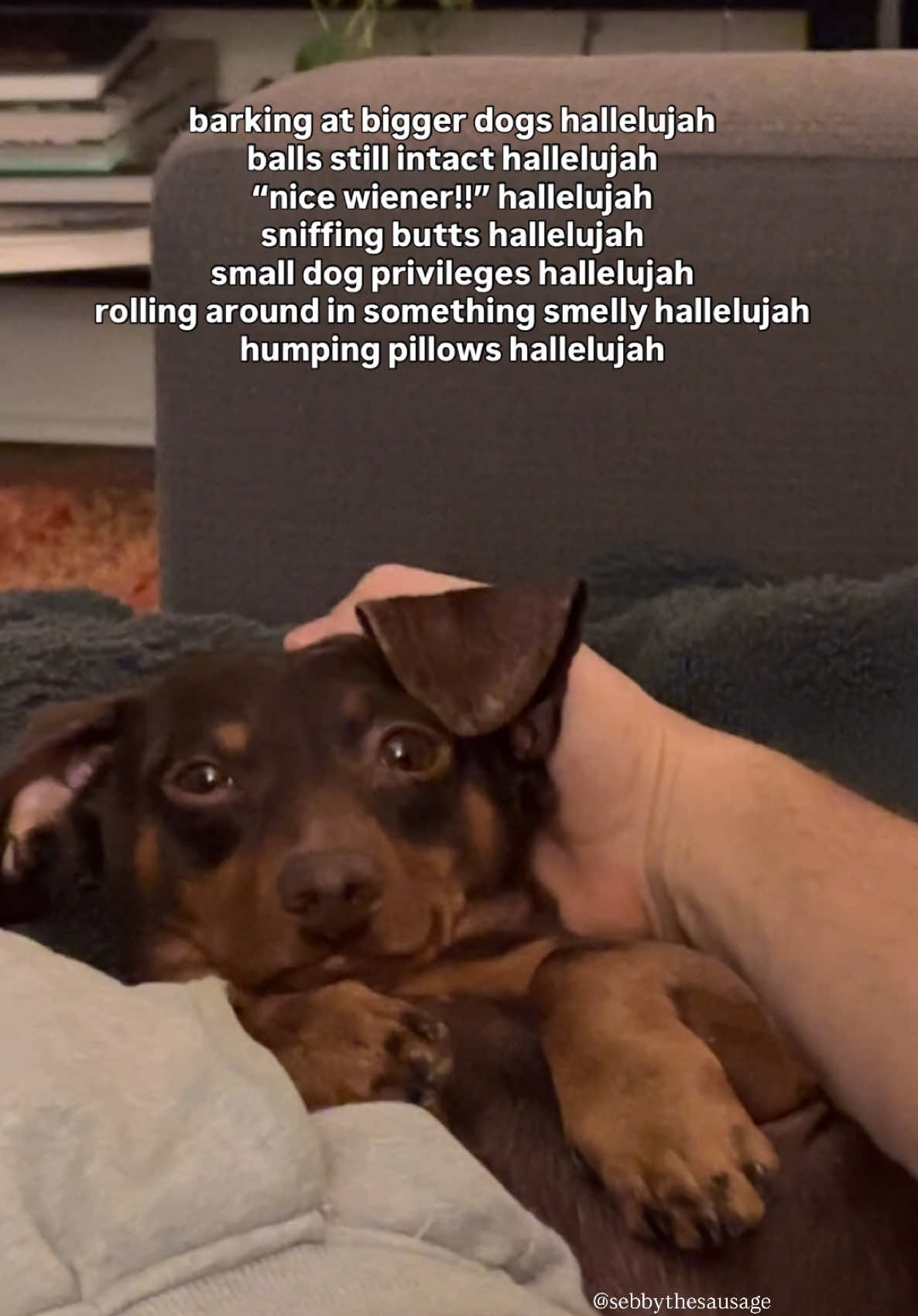 @sebbythesausage