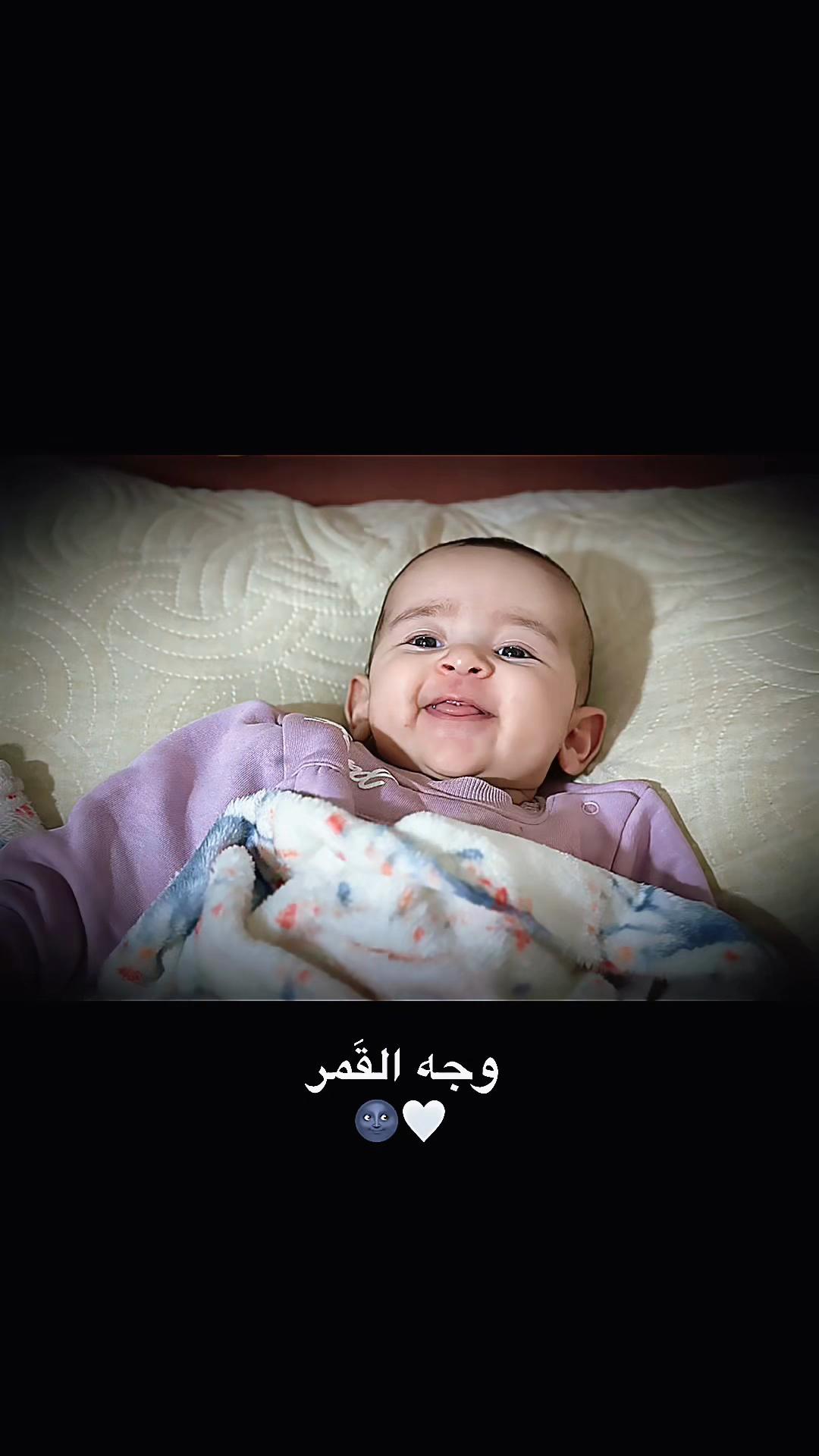 @bosha1.ali