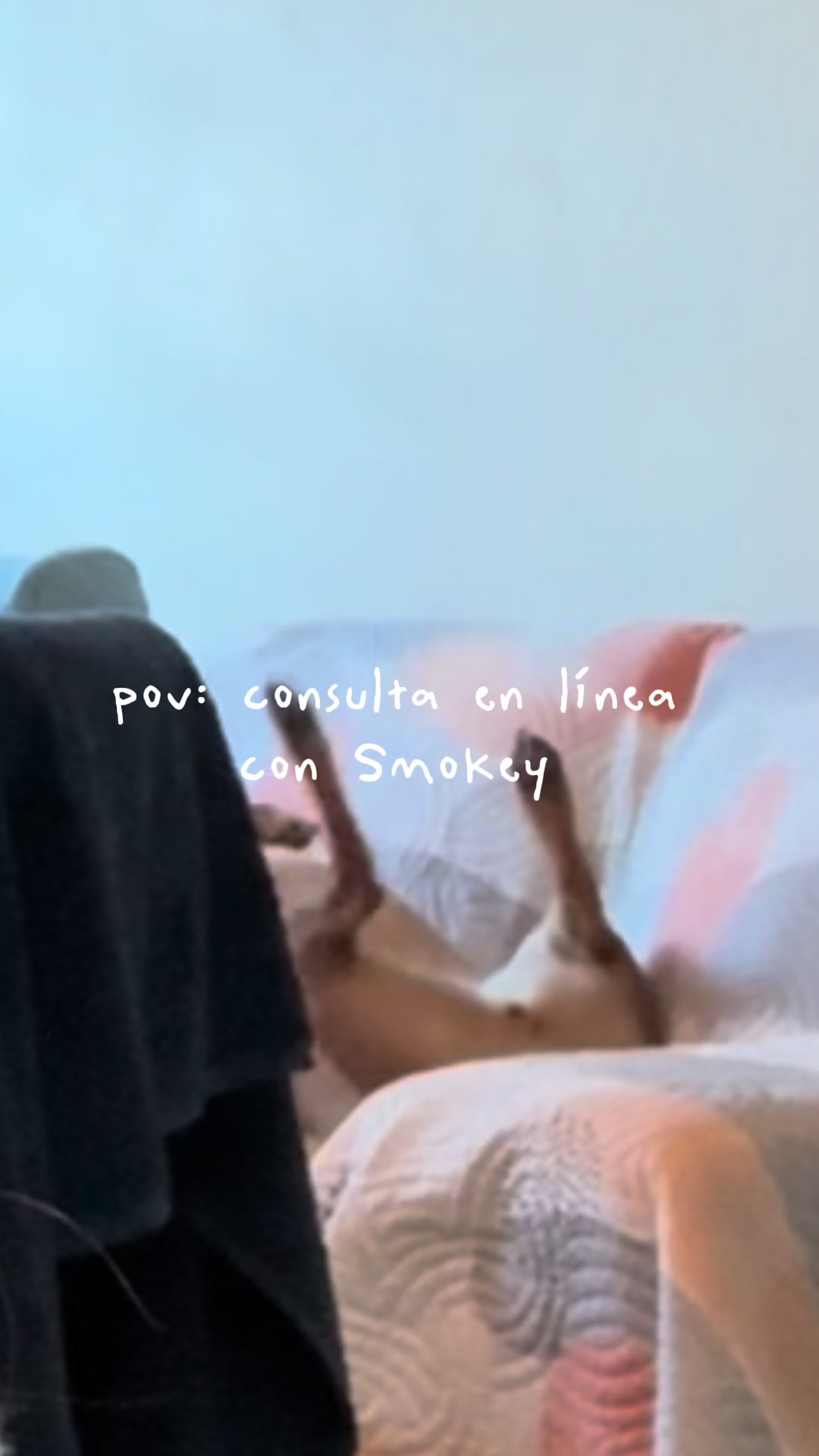 @lanutri.dogmom