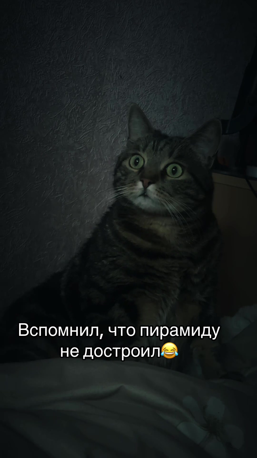 @🤍Kovaliova🤍M
