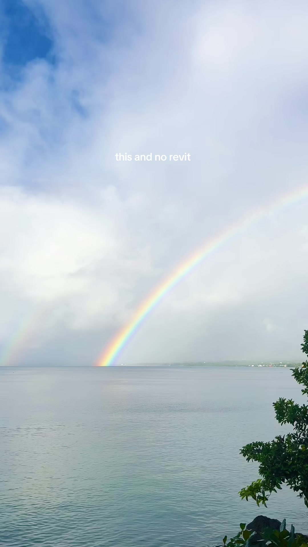 @ally 🌥️