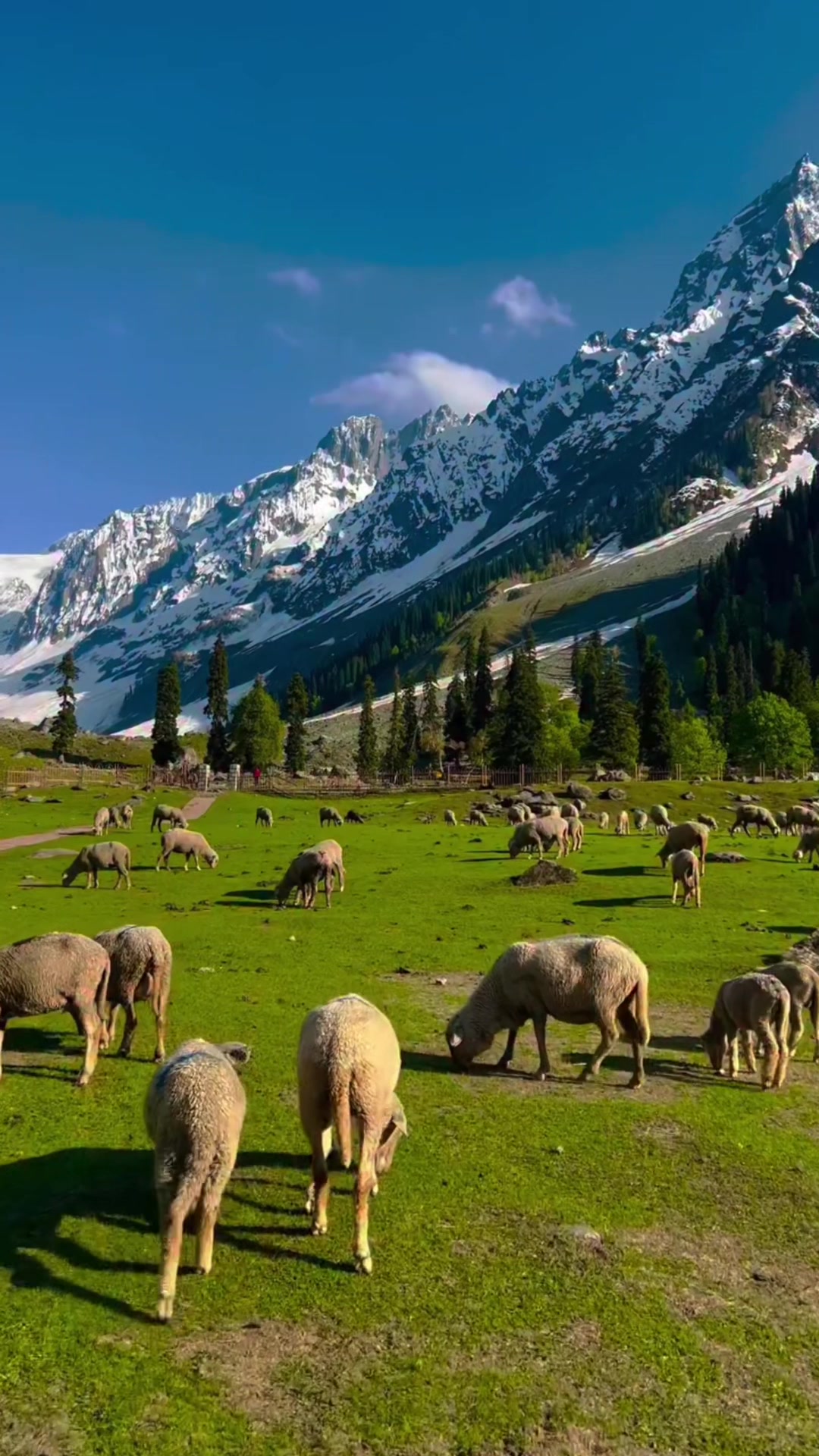 @Northern Pakistan Treks & Tour